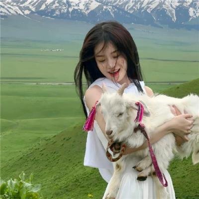 约定的梦幻岛海报