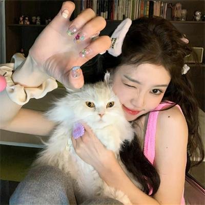 春光灿烂猪八戒2000海报
